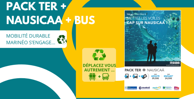 Pack TER + Nausicaa