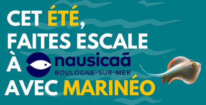 evenement nausicaa
