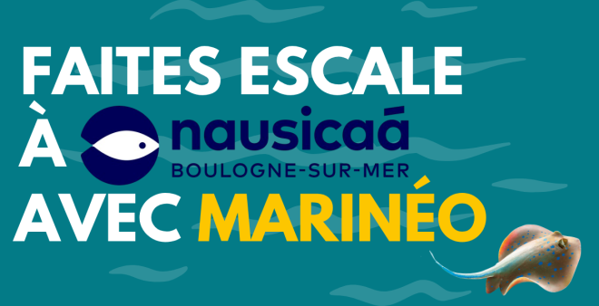Faites Escales à Nausicaa