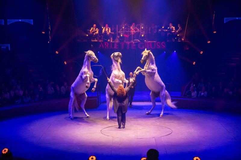 Photos Cirque Arlette Gruss
