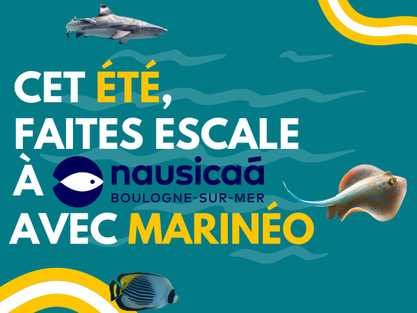 evenement nausicaa