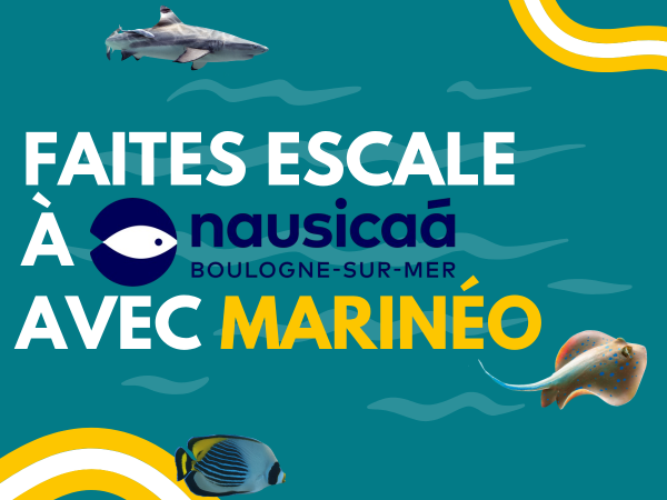Faites Escales à Nausicaa